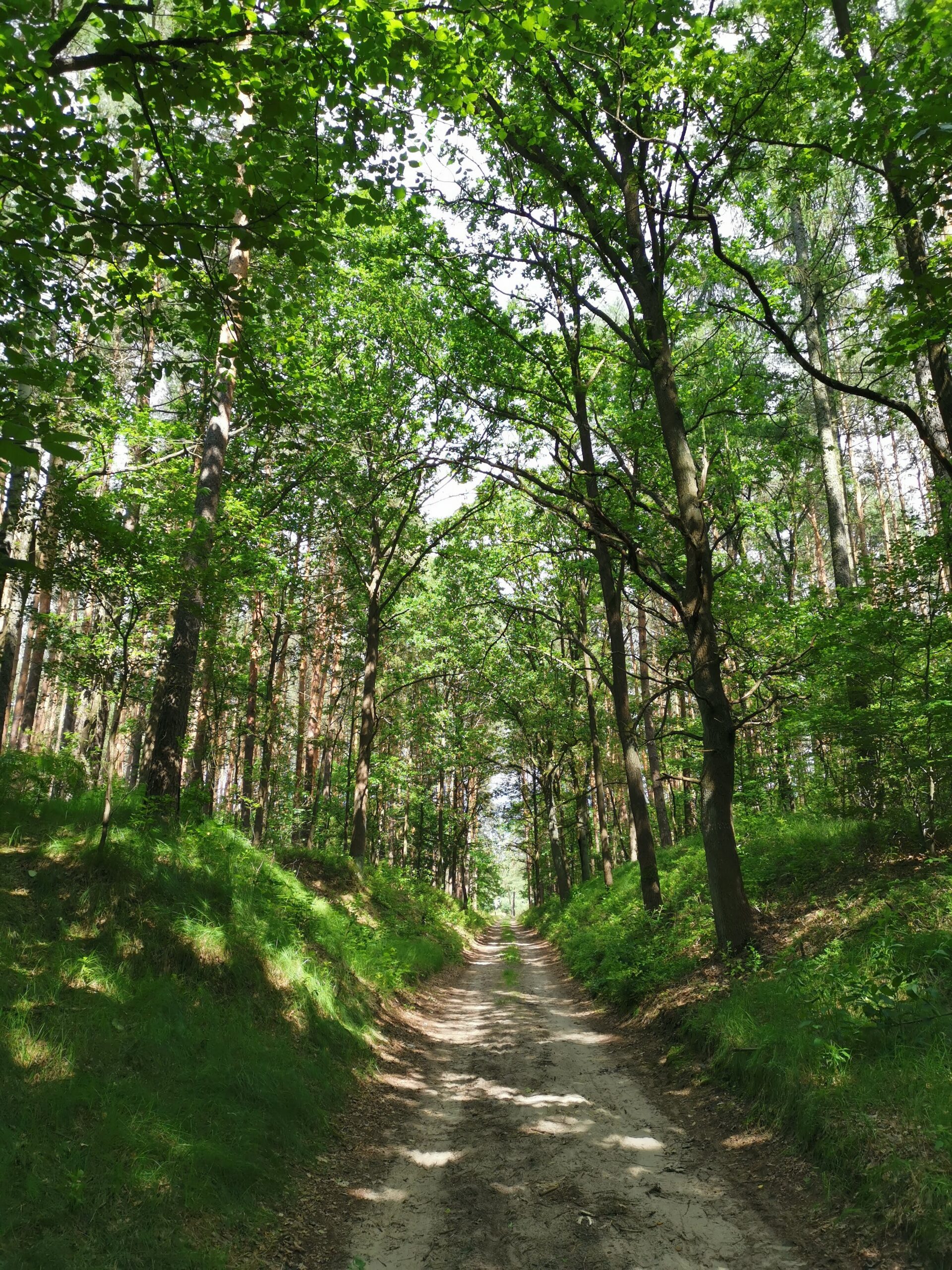 Park Krajobrazowy Cysterskie Kompozycje Krajobrazowe Rud Wielkich Park Krajobrazowy „Cysterskie Kompozycje Krajobrazowe Rud Wielkich